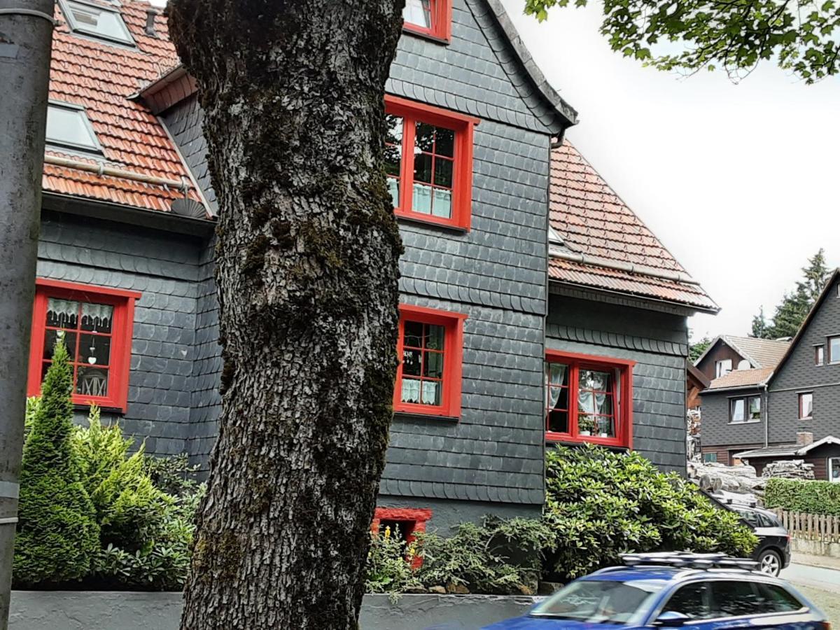 Fewo Holzwurm Braunlage Luaran gambar